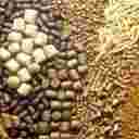 ماهی فود سوپلای