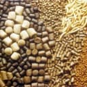 ماهی فود سوپلای